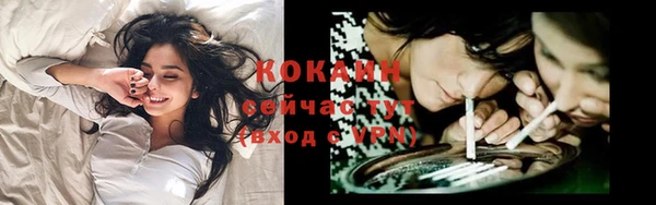 молекула духа Костерёво