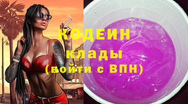 молекула духа Костерёво