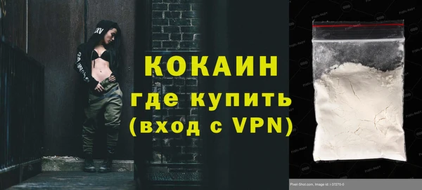 молекула духа Костерёво