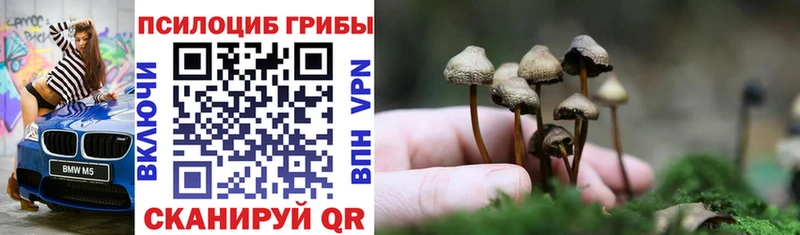 Галлюциногенные грибы Psilocybine cubensis где можно купить наркотик Лебедянь